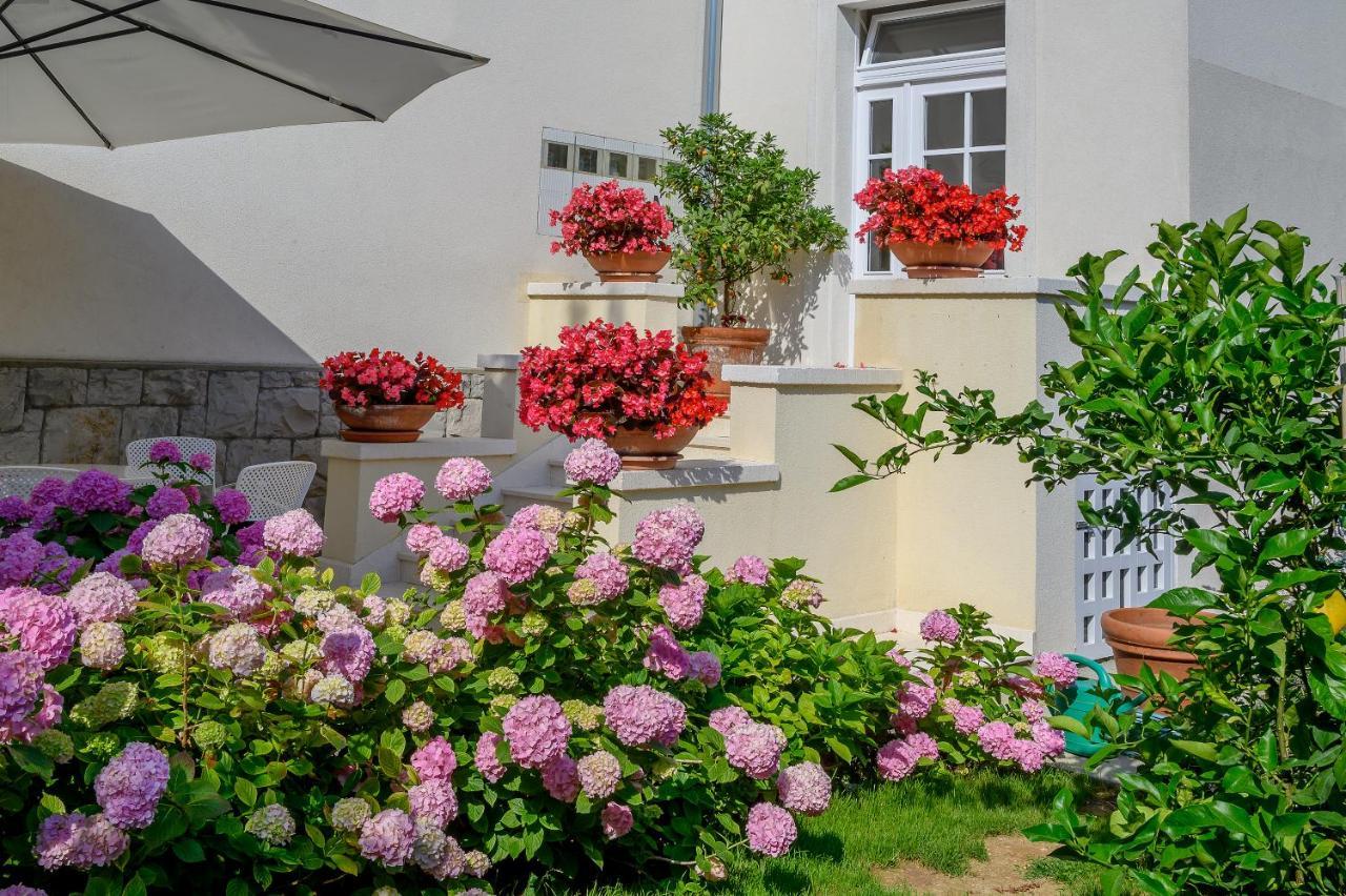 Palace Schoen Milesi - Esense Of Prestige - Private Pool - Free Parking - Old Money Style Luxury Rooms - Walking Distance To The Old Town, The Beach And All Amenities - Buralux Properties Split Luaran gambar